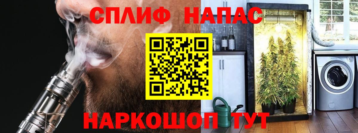 Бошки марихуана Bruce Banner  Вход с VPN  Архангельск  МАРИХУАНА Amnesia  Шишки марихуана THC 21% 